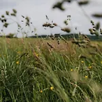 Vulkaneifelzeit / Nahe Nuerburgring *