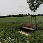 Vulkaneifelzeit / Nahe Nuerburgring *