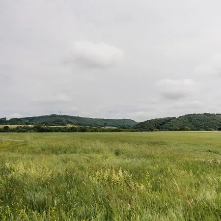 Vulkaneifelzeit / Nahe Nuerburgring *