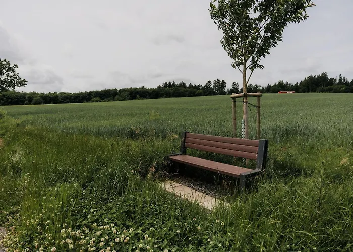 Vulkaneifelzeit / Nahe Nürburgring *