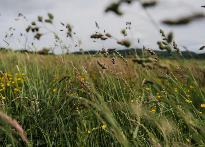 Vulkaneifelzeit / Nahe Nürburgring *